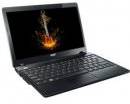 Acer Aspire One 725 NU.SGPSI.026 Laptop (APU Dual Core/2 GB/500 GB/Windows 7/256 MB)