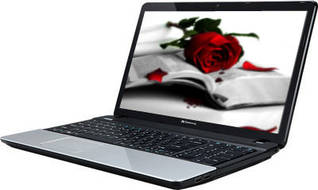 Acer Gateway NE56R (NX.Y1USI.011) Laptop (Pentium 2nd Gen/4 GB/500 GB/Windows 8)