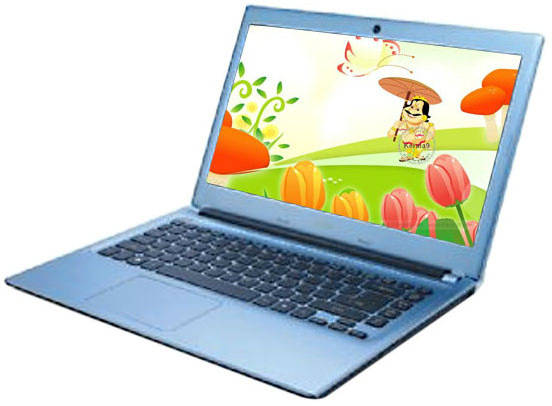 Acer Aspire V5 121 Laptop (AMD Dual Core/2 GB/500 GB/DOS/256 MB)