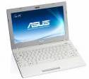Asus Eee PC 1225C-SIV014W Netbook (Atom Dual Core 2nd Gen/2 GB/500 GB/ExpressGate Cloud) Laptop