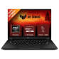 Asus FA401EA-RG020WS