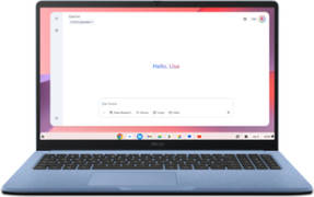 Asus Chromebook (CM1505CM4A-S70080) Laptop (Kompanio 540/4 GB/64 GB SSD 64 GB eMMC/Google Chrome)