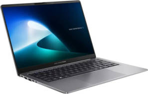 Asus Expertbook P5 P5405CSA-NZ0583WS Laptop (Core Ultra 5  Series 2 /16 GB/1 TB SSD/Windows 11)