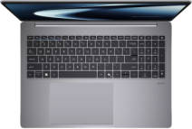 Asus Expertbook P5 P5605CAA-PL0049WS Laptop (32 GB/1 TB SSD/Windows 11)