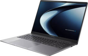 Asus Expertbook P5 P5605CAA-PL0049WS Laptop (32 GB/1 TB SSD/Windows 11) Laptop