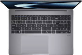 Asus Expertbook P5 P5605CAA-PL0049WS Laptop (32 GB/1 TB SSD/Windows 11) Laptop