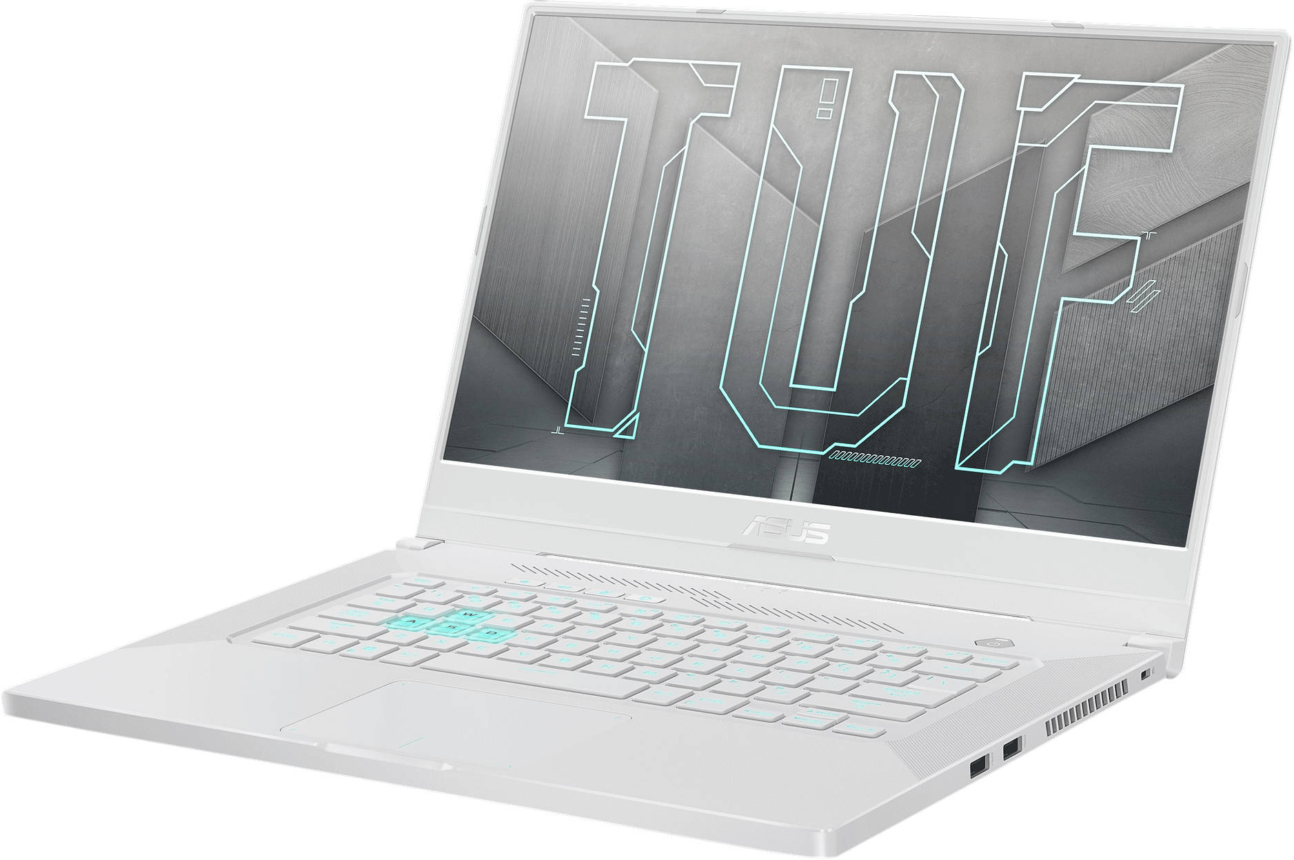 Asus TUF Dash F15 FX516PE-HN087TS Laptop (Core i5 11th Gen/16 GB/512 GB SSD/Windows 10/4 GB)