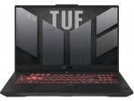 Asus TUF Gaming F17 FX707VV-HX067WS Laptop (Core i9 13th Gen/16 GB/1 TB SSD/Windows 11/8 GB)