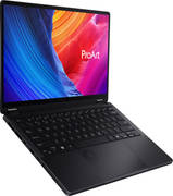 Asus ProArt PX13 OLED HN7306WU-LX001WS Laptop (AMD Deca Core Ryzen 9/24 GB/1 TB SSD/Windows 11/6 GB) Laptop