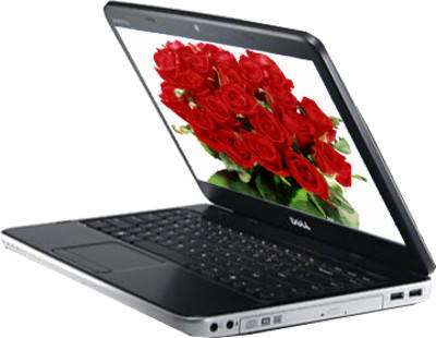 Dell Vostro 2420 Laptop (Core i3 2nd Gen/2 GB/500 GB/Windows 8)