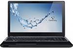 Gateway NV570P09U (NX.Y46AA.003) Laptop (Pentium Dual Core/4 GB/750 GB/Windows 8)