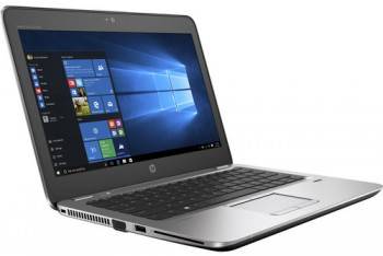 HP Elitebook 820 G4 (1FX34UT) Laptop (Core i5 7th Gen/4 GB/500 GB/Windows 10)