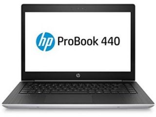 HP ProBook 440 G5 (2SS92UT) Laptop (Core i5 8th Gen/4 GB/500 GB/Windows 10) Price