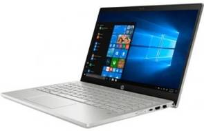 HP Pavilion 14-CE1001TX (5FW12PA) Laptop (Core i5 8th Gen/8 GB/1 TB 128 GB SSD/Windows 10/2 GB)