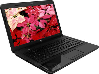HP 1000-1106TU Laptop (Celeron Dual Core/2 GB/320 GB/Windows 7)
