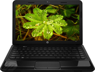 HP 1000-1401AU (E6F93PA) Laptop (APU Dual Core/2 GB/500 GB/Windows 8) Price