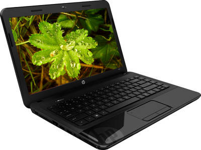 HP 1000-1401AU (E6F93PA) Laptop (APU Dual Core/2 GB/500 GB/Windows 8)