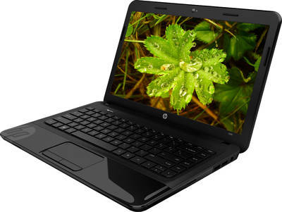 HP 1000-1401AU (E6F93PA) Laptop (APU Dual Core/2 GB/500 GB/Windows 8)