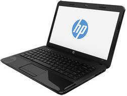 HP 1000-1B02AU Laptop (APU Dual Core/6 GB/320 GB/DOS)