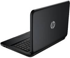 HP Pavilion 14-d006au (F6D41PA) Laptop (AMD Quad Core A4/4 GB/500 GB/Windows 8 1)