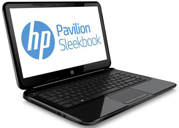 HP Pavilion 14 Laptop (APU Dual Core/2 GB/500 GB/Windows 8)