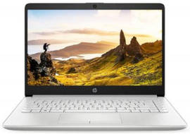 HP 14s-cs3009tu (159C9PA) Laptop (Core i5 10th Gen/8 GB/1 TB 256 GB SSD/Windows 10)