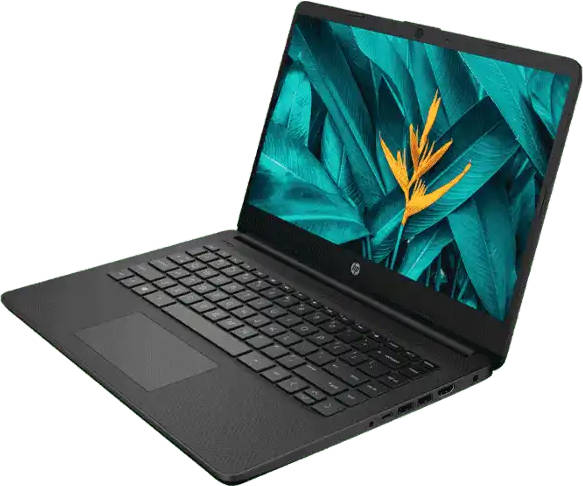 HP 14s- dq3032tu (637S3PA) Laptop (Celeron Dual Core/8 GB/256 GB SSD/Windows 11)