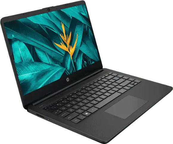 HP 14s- dq3032tu (637S3PA) Laptop (Celeron Dual Core/8 GB/256 GB SSD/Windows 11)