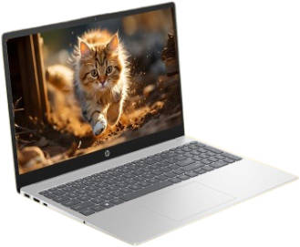 HP 15-fc0154AU (9D3M8PA) Laptop (AMD Quad Core Ryzen 3/8 GB/512 GB SSD/Windows 11)