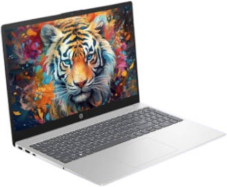 HP 15-fd0063TU (A33FQPA) Laptop (Core i3 12th Gen/8 GB/512 GB SSD/Windows 11)