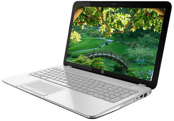 HP Pavilion 15-n208TU Laptop (Core i3 3rd Gen/4 GB/500 GB/Windows 8)