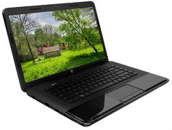 HP 2000-2209TU Laptop (Pentium Dual Core 2nd Gen/2 GB/500 GB/Windows 8)