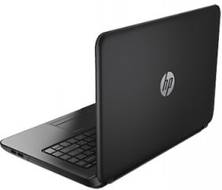 HP 240 G3 (M1V30PA) Laptop (Pentium Quad Core 4th Gen/2 GB/500 GB/Windows 8 1)