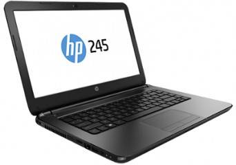HP 245 G1 (E1Y56LT) Laptop (AMD Dual Core E1/4 GB/500 GB/Windows 8)