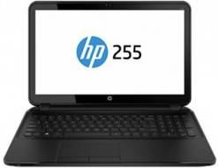 HP 255 G2 (F7V51UT) Laptop (AMD Quad Core A6/4 GB/500 GB/Windows 8 1)
