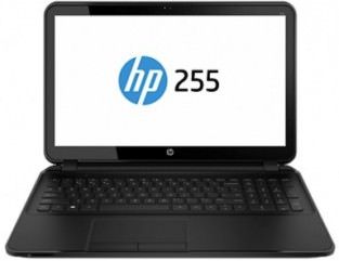 HP 255 G2 (F7V51UT) Laptop (AMD Quad Core A6/4 GB/500 GB/Windows 8 1) Price