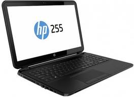 HP 255 G2 (F7V51UT) Laptop (AMD Quad Core A6/4 GB/500 GB/Windows 8 1)