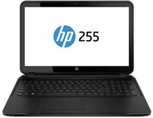 HP 255 G2 (F7V54UT) Laptop (AMD Quad Core A4/4 GB/500 GB/Windows 7)