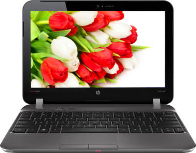 HP Pavilion 4201AU Laptop (AMD Dual Core E2/2 GB/320 GB/Windows 7) Price