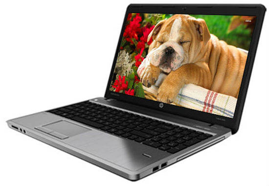 HP ProBook 4540s (D0N66PAACJ) Laptop (Core i3 3rd Gen/2 GB/500 GB/Windows 8)