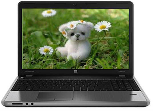 HP ProBook 4540s (D5J49PAACJ) Laptop (Core i5 3rd Gen/2 GB/750 GB/DOS)