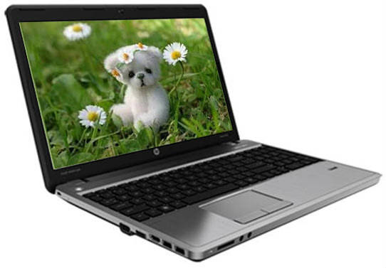 HP ProBook 4540s (D5J49PAACJ) Laptop (Core i5 3rd Gen/2 GB/750 GB/DOS)