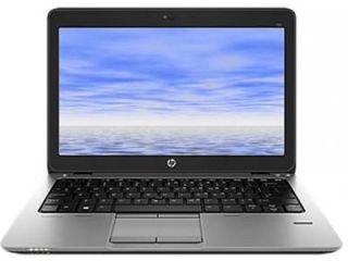 HP Elitebook 720 G1 (J8V76UT) Ultrabook (Core i5 4th Gen/4 GB/180 GB SSD/Windows 7) Price
