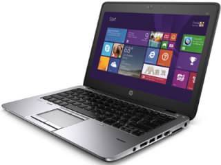 HP Elitebook 820 G2 (N0C55PA) Laptop (Core i5 5th Gen/4 GB/1 TB/Windows 7)