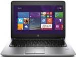 HP 820 G2 (N0C55PA) (Core i5 5th Gen/4 GB/1 TB/Windows 7 Pro)
