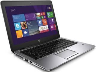 HP Elitebook 820 G3 (T7Z94PA) Laptop (Core i5 5th Gen/4 GB/256 GB SSD/Windows 8 1)