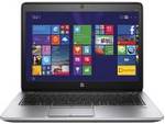 HP 840 G2 (NOC56PA) (Core i5 5th Gen/4 GB/500 GB/Windows 8 Pro)
