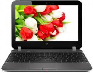 HP Pavilion DM1-4201AU (B6U57PA) Netbook (AMD Dual Core E2/2 GB/320 GB/Windows 7)