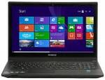 Lenovo Essential B50-45 (59-442503) Laptop (AMD Dual Core E1/4 GB/320 GB/Windows 8 1)