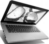 Lenovo Ideapad 310 (80TV00701H) Laptop (Core i5 7th Gen/4 GB/1 TB/Windows 10/2 GB)